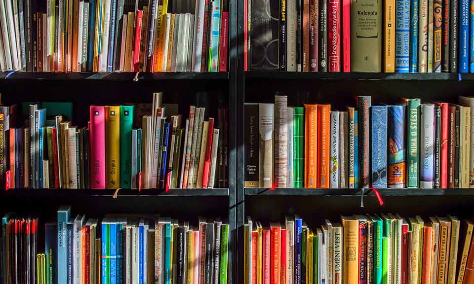 colorful books on a large shelf